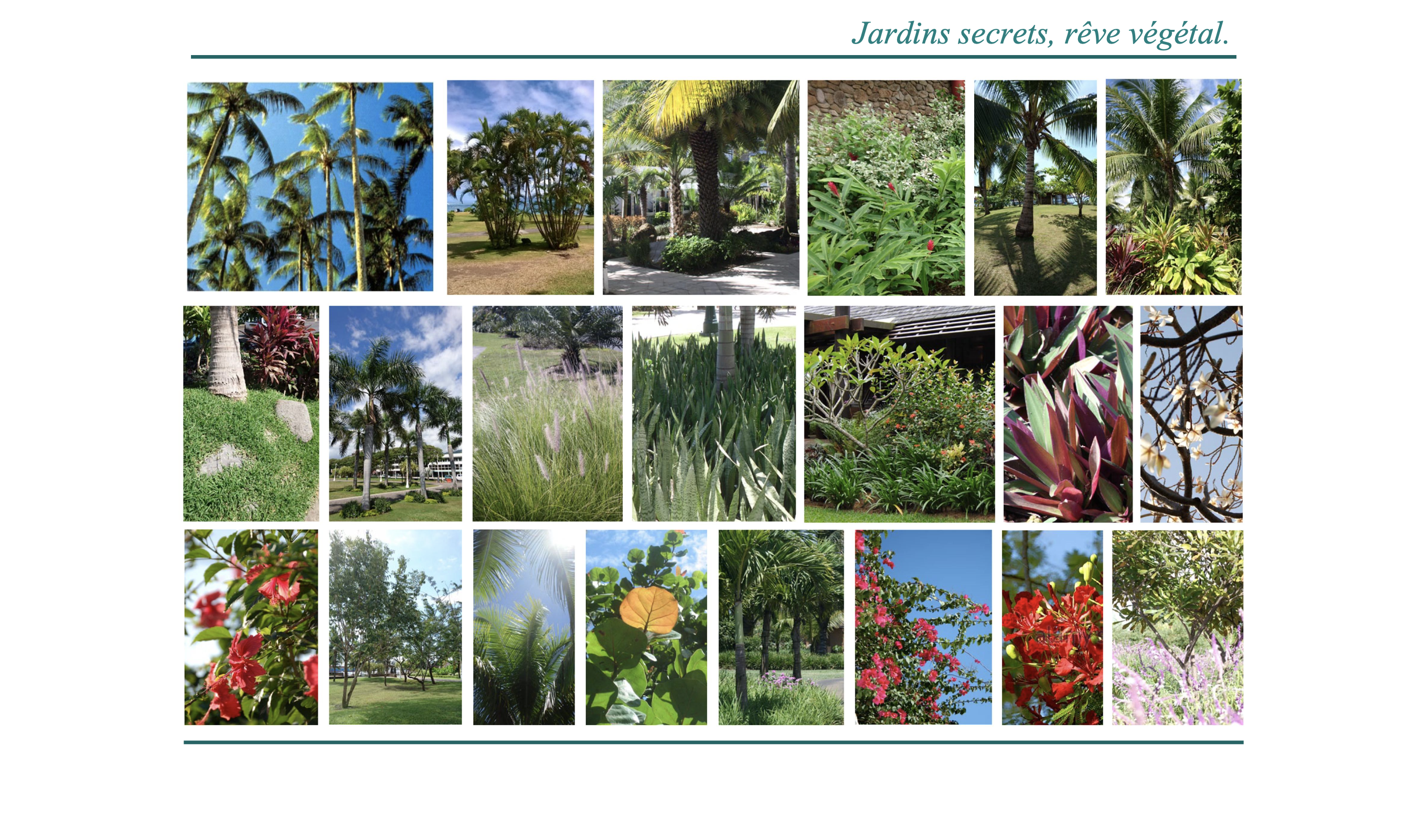 PARC, photo 3